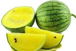 吃瓜爆料小学生图片,揭秘小学生吃瓜爆料的幕后故事